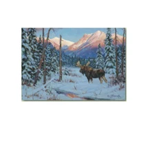 Moose and Mountains Christmas Cards (Boxed Pack of 10) Greeting Animals Snow