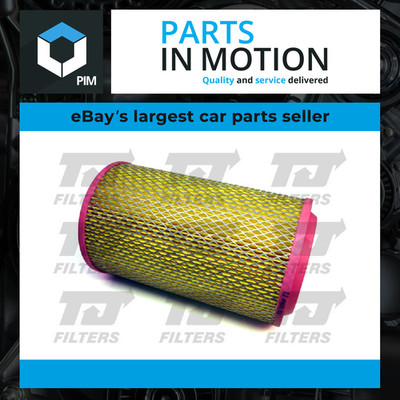 Air Filter QFA0231 TJ Filters 60661773 60811342 778623E11 778623E13 7786225 New