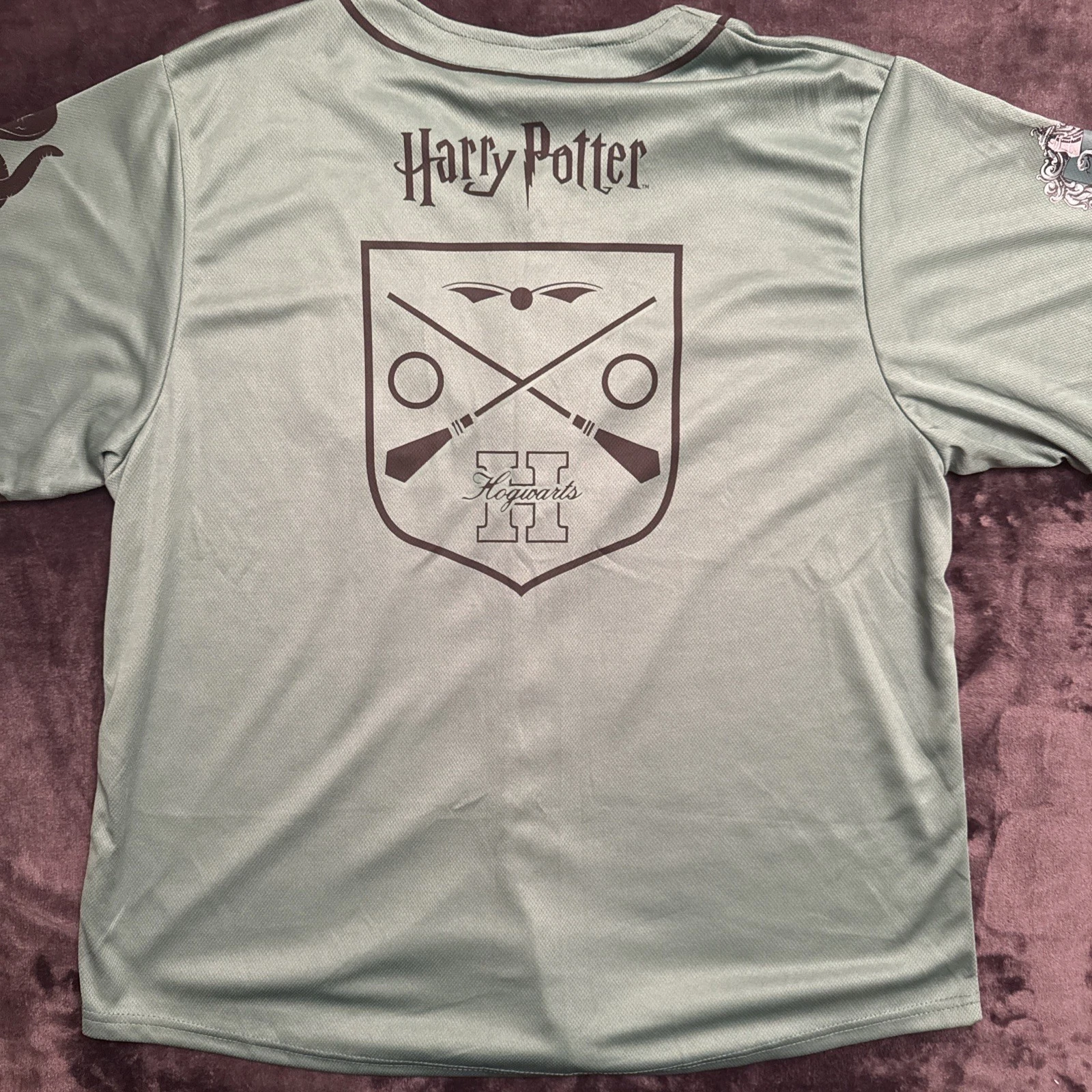 Washington Nationals 2024 Harry Potter Jersey SGA Slytherin Hogwarts