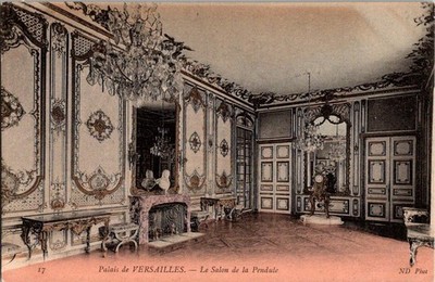 Vintage Palais de Versailles - Le Salon de la Pendule French Postcard
