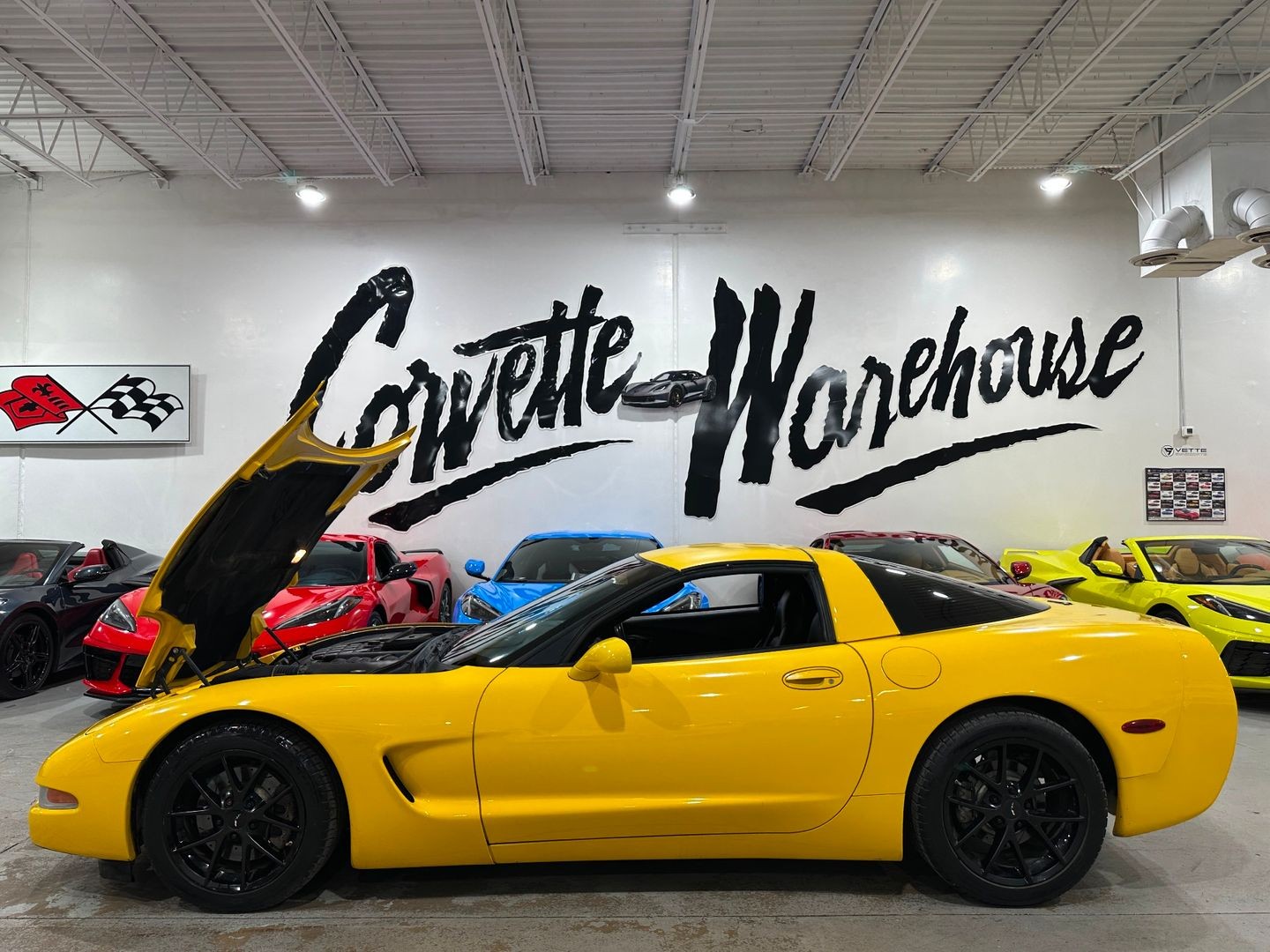 2004 [79U] Millennium Yellow Chevrolet Corvette   | C5 Corvette Photo 2