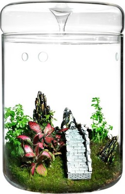 Small Glass Terrarium Jar with Lid   4.7 x 7 Inch Closed Plant Terrarium for S