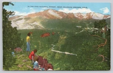 Vintage Linen Postcard Pike National Forest Near Colorado Springs Colo.
