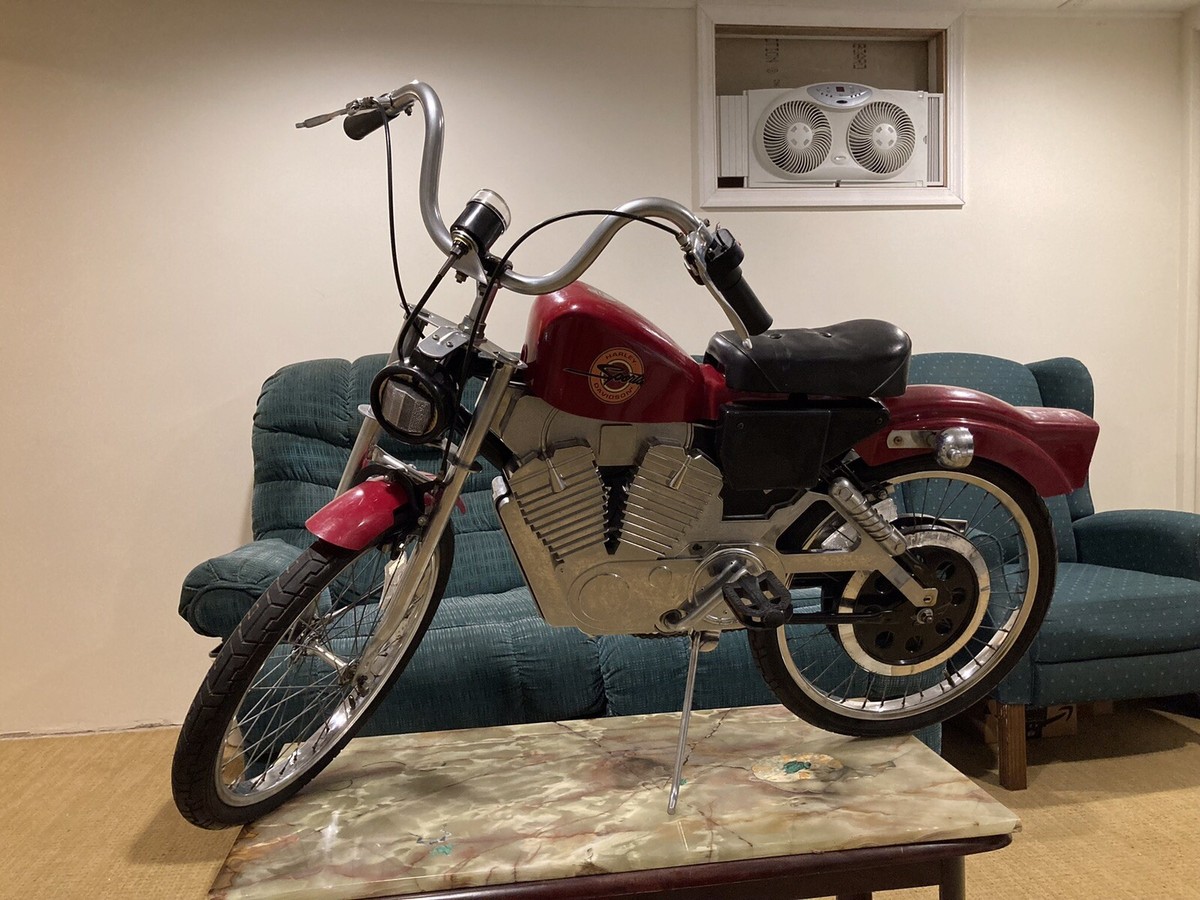 Roadmaster Harley Harley Davidson Motorcycle Bicycle 1994 Harley