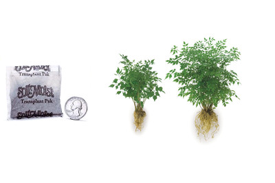 500-pack Ecto Endo Mycorrhizal Transplant Paks for Trees Shrubs Root Building