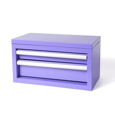 Mini Steel Tool Box with Drawers - Small Tool Chest for Small Item Storage Or...