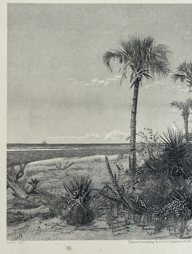 Grabado en acero 1872 en la costa de Florida de Harry Fenn de Hinshelwood - Imagen 7 de 12