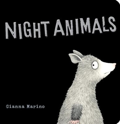 Night Animals by Marino, Gianna [Board book]
