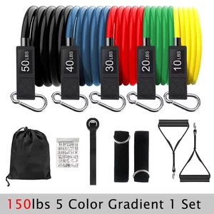 Bandes de résistance Ensemble corde de traction pour hommes Femmes Exercice Bandes pour