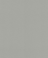Tapete Vlies Uni Strukturiert Dunkelgrau Rasch Indian Summer 474947 (2,62€/1Qm)