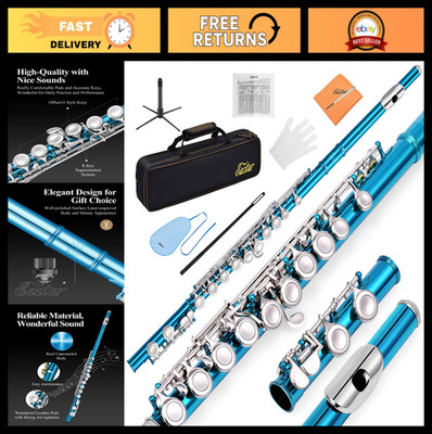 16-Key Closed Hole C Flute for Kids, Beginner Full Kit, Sky Blue, Music Instrume