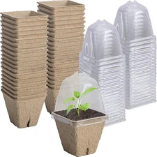 PURPLE STAR 40pc Seeding Starter Pots - 2.3in Square Biodegradable Peat Pots wit