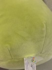 Squishmallows Grasshopper 8 inch Heart Antennae Hadeon Love Valentine's Day USED — photo 10