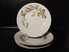 ANTICO SERVIZIO TAVOLA  15 PIATTI PREZIOSA PORCELLANA RICHARD GINORI DECORO ROSE