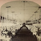 USA Hotel Grand Union Saratoga Springs New York 1882 Photo Stereo Vintage