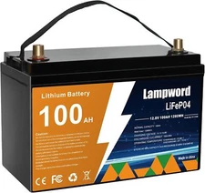 2560Wh 12V LiFePO4 Battery 100-200Ah Long Life for RV Solar Trolling Motor