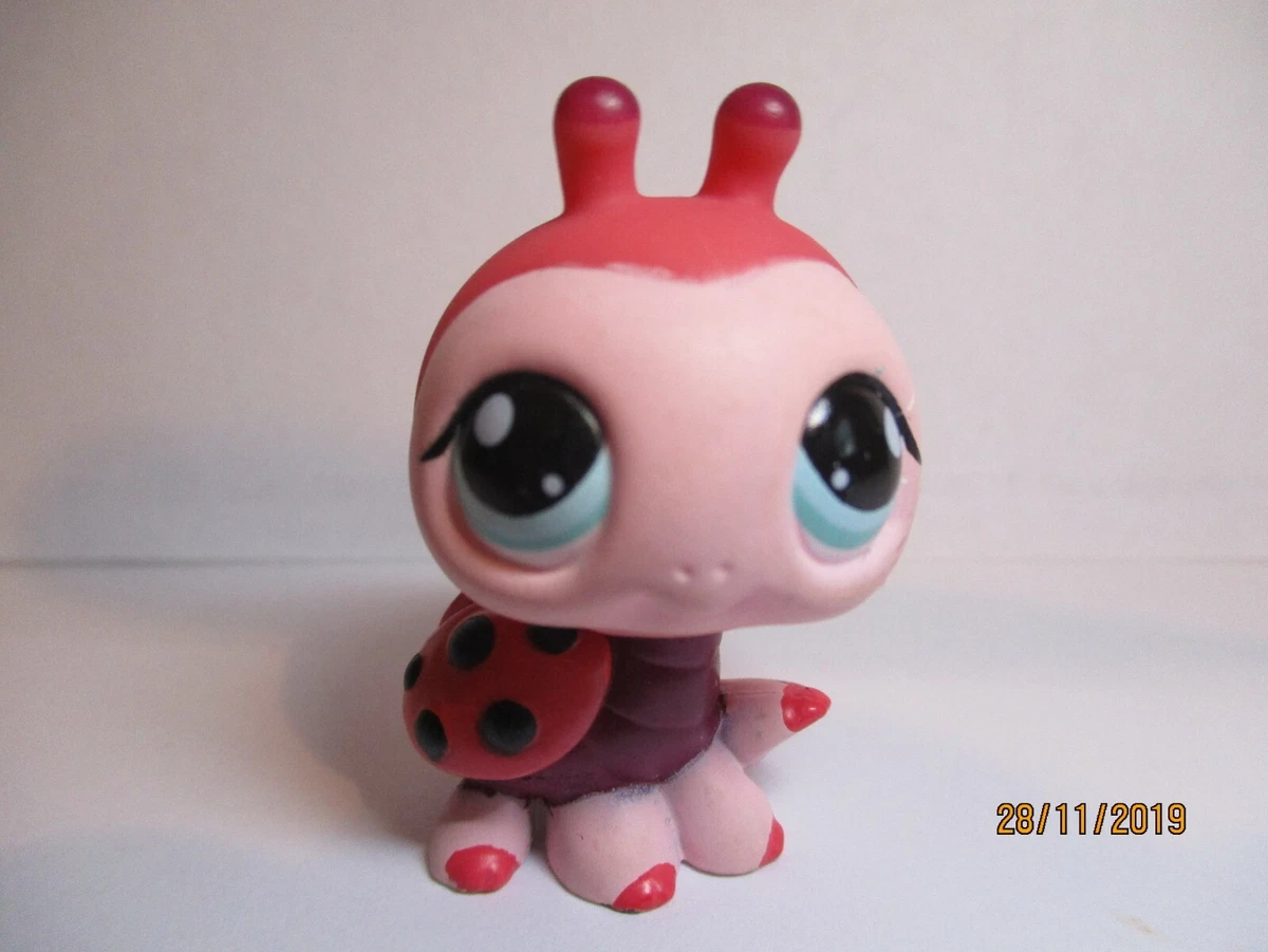 Petshop coccinelle - Les meilleures offres