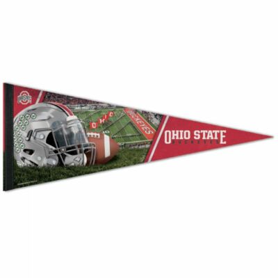 Ohio State University Buckeyes 12 in X 30 in Running Brutus