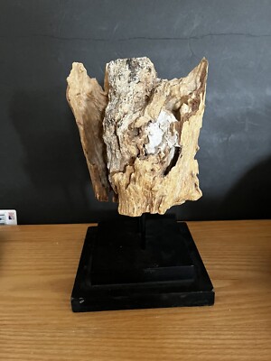 Teak Drift Wood Organic Art Sculpture  Dried Mineral Base Mount 9 1/2 Inch Tall