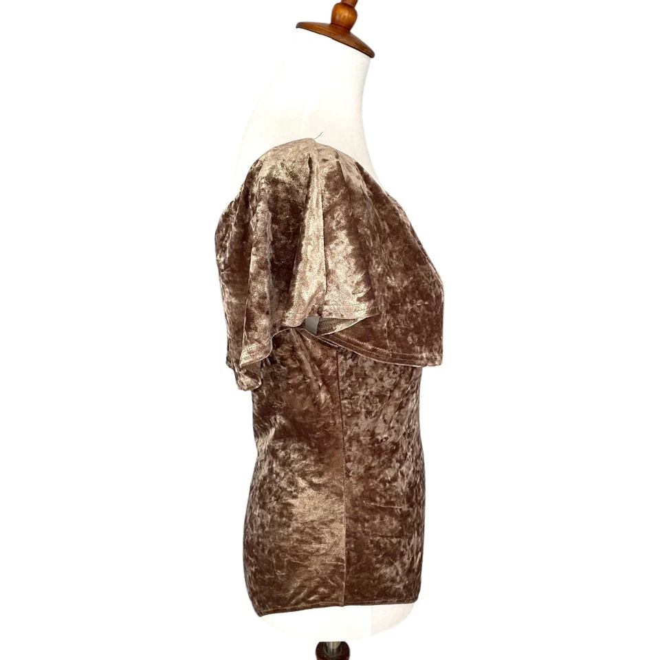 Honey Punch Cafe au Lait Brown Velvet Off The Shoulder Bodysuit Size Large - Image 4 of 4