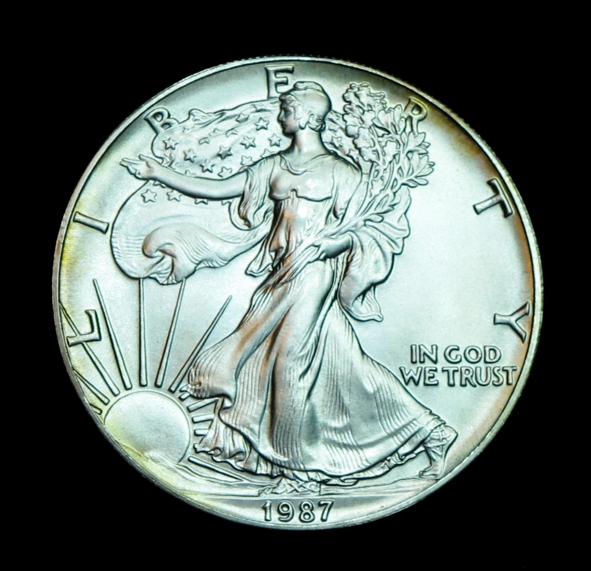 American Eagle Silver Coin 1987年 American Eagle Uncertified 1987 Silver Bullion Coins for sale | eBay