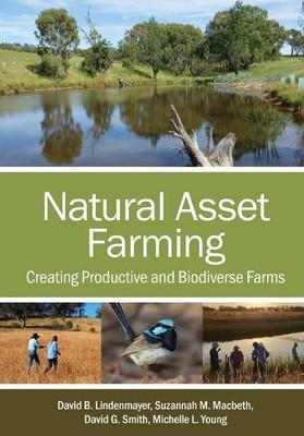 David B. Lindenmayer Michelle L. Young D Natural Asset F (Paperback) (UK IMPORT)