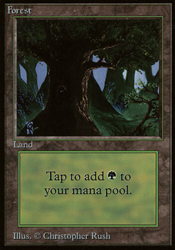 Forest (Eyes) PL/MP, English MTG Beta - Picture 1 of 1