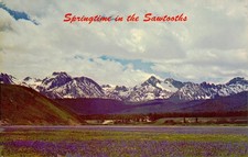 Sawtooth Mountains with Flower Field, c1950, UNKNOWN (No specific city depict...