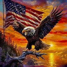 4th of July Diamond Art Kits for Adults, Independence Day Diamond Painting B17
