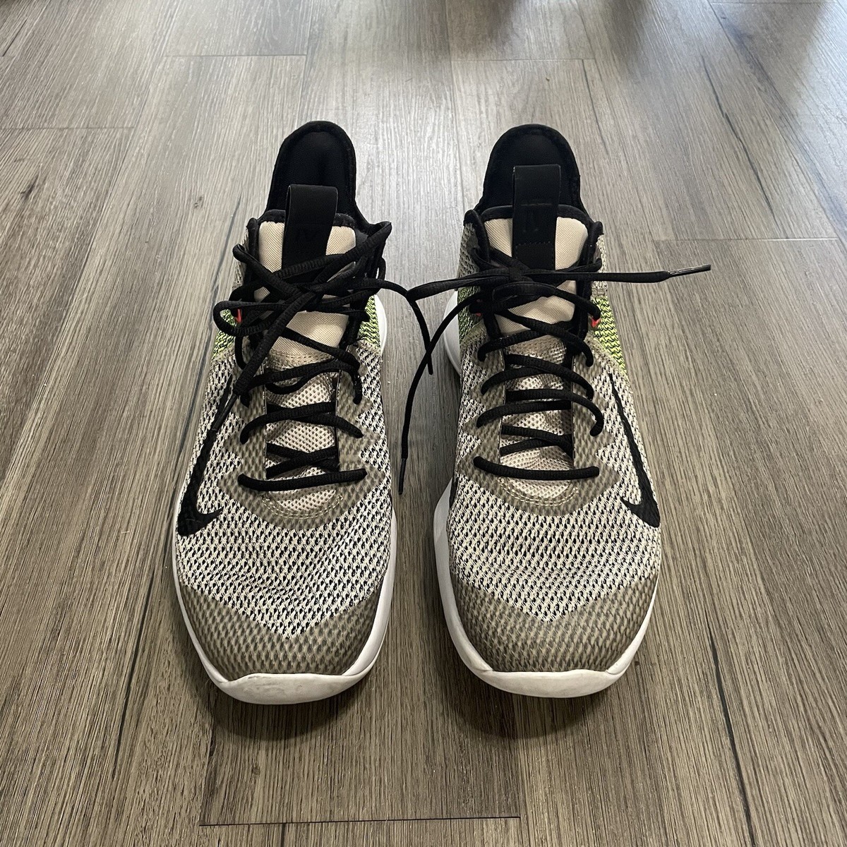 nike shoe with lion on the back