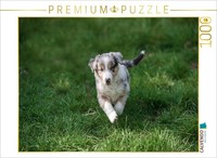 Calvendo Puzzle Leo | 1000 Teile Lege-GrößE 64 × 48 Cm Foto-Puzzle FüR GlüCklich