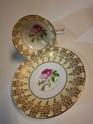 Teacup Saucer Set WINDSOR BONE CHINA ENGLAND Rose (Centifolia Cabbage) Gold Trim
