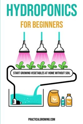 Hydroponics for Beginners: Start Growing Vegetables at Home With
