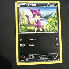 Purrloin 66/114 Black & White Regular