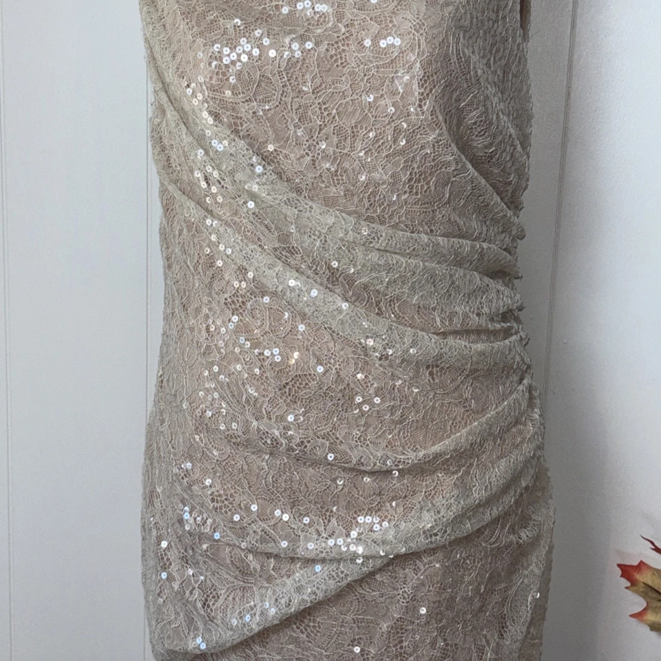 Carmen Marc Valvo женщин желтовато-коричневый блестки обтяжку платье Sz 12 элегантный  - Изображение 3 из 4