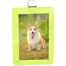 Sun Visor Photo Holder, 1 Pack Universal Magnetic Personalized Photo Clip-green