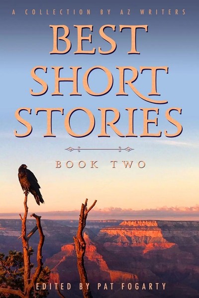 Pat Fogarty | Best Short Stories Book Two | Taschenbuch | Englisch (2018)-image