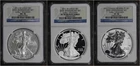 2011 P and W (PF/MS 70) 25th Anniversary 3 Coin Set American Silver Eagle NGC