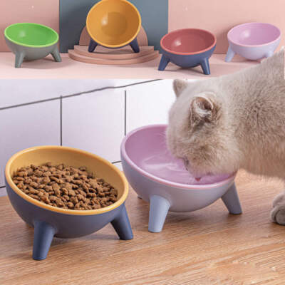 Cat / Dog Bowl With Stand Food Bowls Bunny Rabbit Nordic Color Feeder