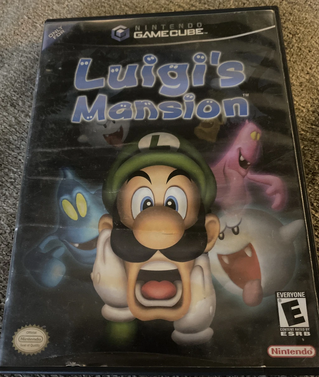 Software Testing Lessons from Luigi's Mansion