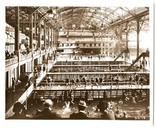 c.1900 SAN FRANCISCO SUTRO BATHS SPECTATORS VIEW POOLS&BATHERS~8x10" PHOTO PRINT