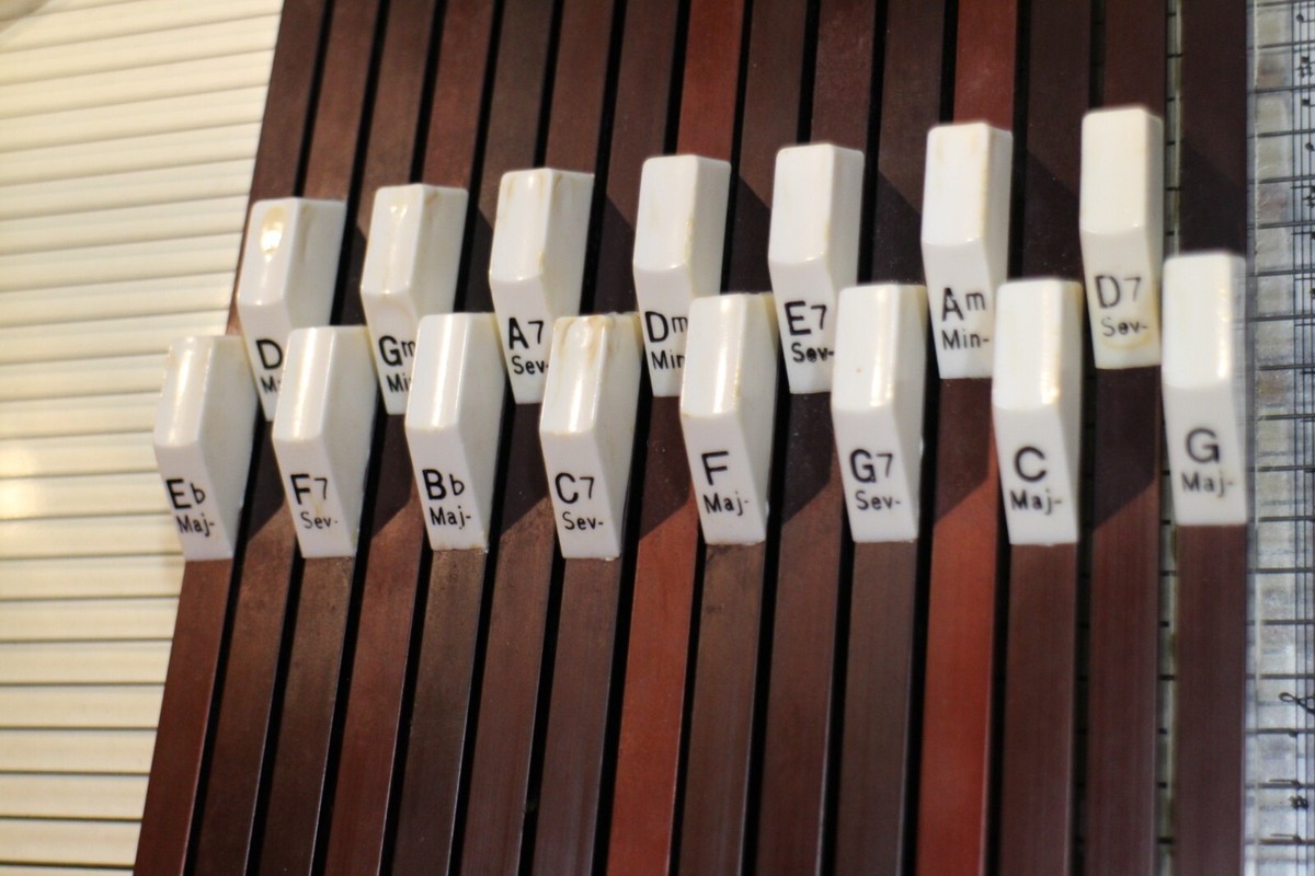 TOKAI GAKKI クロマハープchroma harp Amazon.co.jp: Vintage TOKAI GAKKI Tokai Musical Instrument Chroma