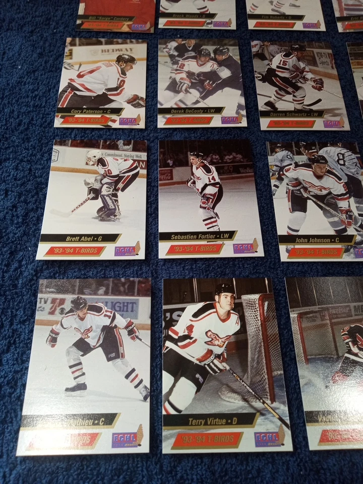 1993-94 Wheeling Thunderbirds Trading Card Set - Image 4 of 4