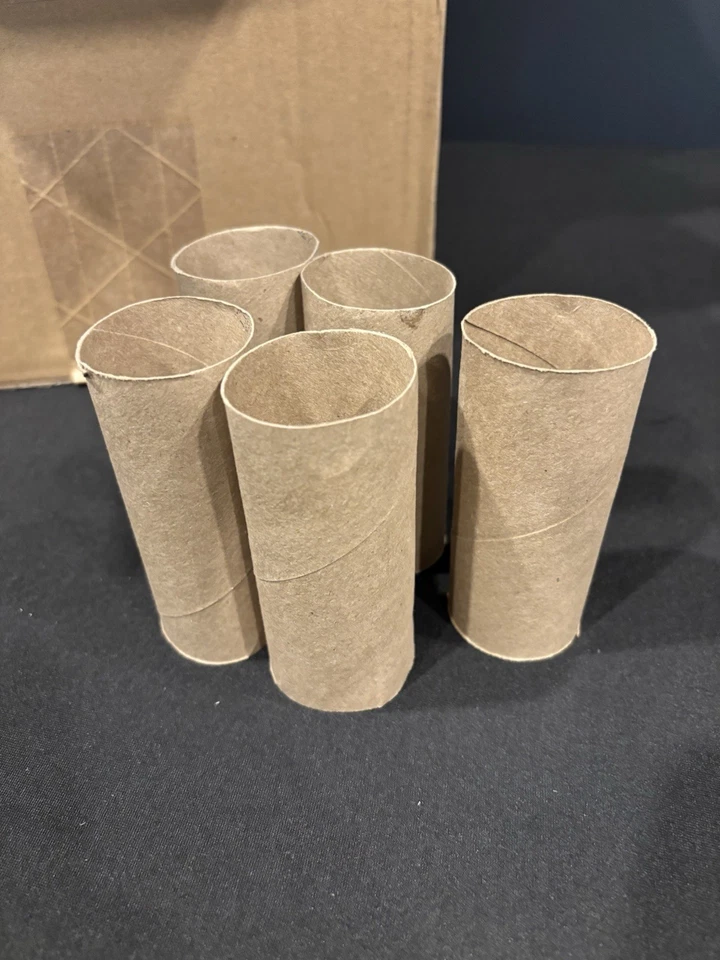 80 Empty Toilet Paper Tissue Rolls Tubes For Art, Crafts, School Projects, CLEAN - Image 3 of 4
