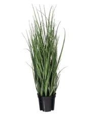 Vickerman 24" Everyday Artificial Green Potted Ryegrass Faux Grass Plant Decor