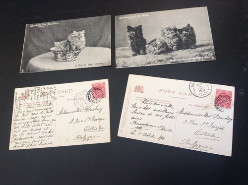 Lot de 6 Cartes postales Chat landor's cat studies - Foto 2 di 3