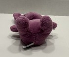 Foto 7 di 14