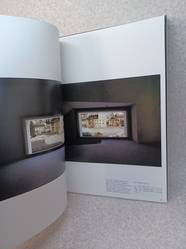 a+u Aug2010 swiss sensibilities peter markli: Olgiati:Gigon Guyer Architecture - Picture 7 of 18