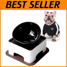 Non-Slip Tilted Pet Feeder Bowl - Ceramic
