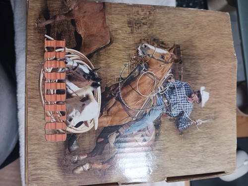NEW in Box RODEO SCENE PLEASE SEE PIC'S - Picture 2 of 6
